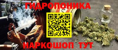гидропоника Жуковский