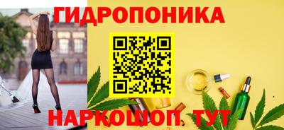 дурь Заводоуковск