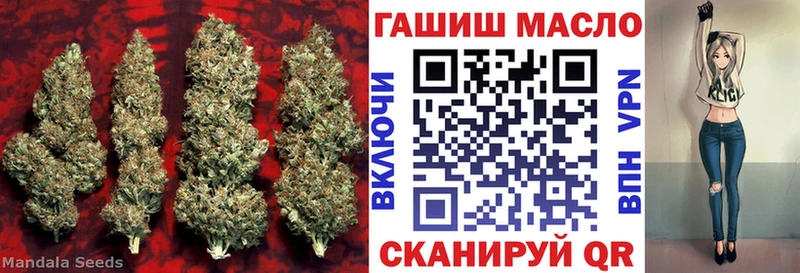 как найти закладки  Луга  ТГК вейп с тгк 