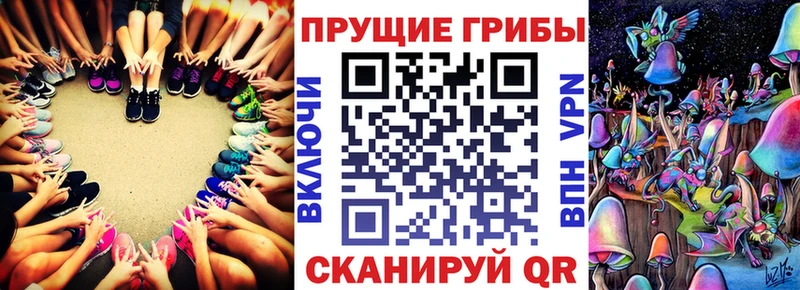 наркошоп Луга Галлюциногенные грибы мицелий
