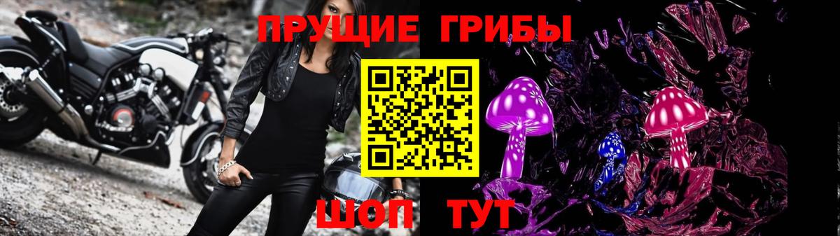 Псилоцибиновые грибы прущие грибы Луга