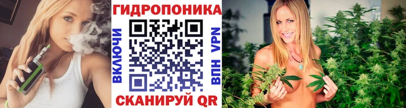 Марихуана планчик  Луга 