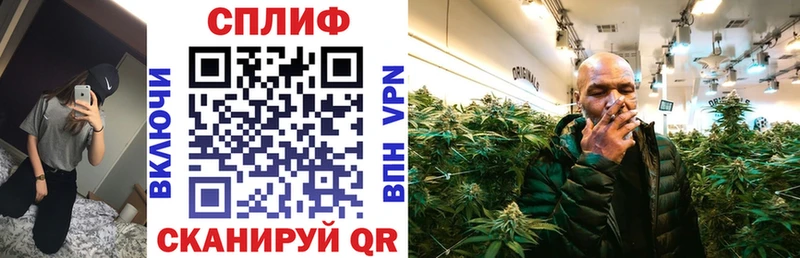 Каннабис марихуана Луга